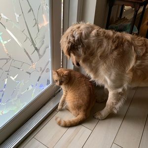 Meet your Posher, Audie